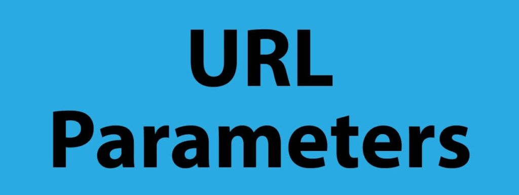 Understanding the Different Types of URL Parameters